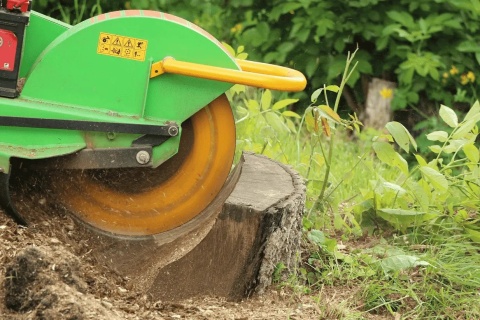 Karczownik Laski D 460E/27 silnik Kohler frezy